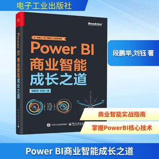 Power BI商业智能成长之道 段鹏举,刘钰 著 正版书籍 电子工业出版社 数据库系列书籍数据结构数据分析参考书 计算机数据工具书