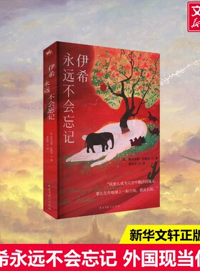 【新华文轩】伊希永远不会忘记 (美)亚历克斯·拉斯克 正版书籍小说畅销书 新华书店旗舰店文轩官网 民主与建设出版社