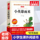 12周岁小学生一二三四五六年级课外阅读经典 文学故事书目新华书店书籍 小英雄雨来 儿童6 无障碍精读版 管桦