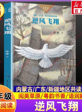 逆风飞翔 叶梦著五年级下册寒假阅读书目内蒙古阅美草原广东粤韵书香语润新疆推荐小学生课外阅读书籍必读湖南少年儿童出版社正版
