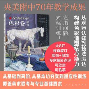 中央美术学院附中 色彩卷 静物 中央美院附中70年教学成果画集图册 人民美术官方正版书籍 观察构建技法色彩造型临摹学习作品集