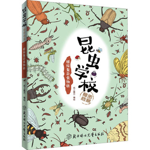 【新华文轩】昆虫学校秘密档案 错综复杂食物链 正版书籍 新华书店旗舰店文轩官网 北方妇女儿童出版社