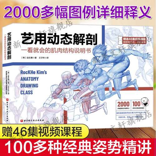 艺用动态解剖学笔记 赠46集视频课程素描绘画教学角色设计 漫威插画师金乐熹人体动态结构教程肌肉结构精讲学画画人体绘画教材书籍