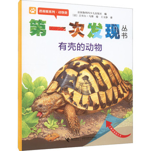 【新华文轩】第一次发现丛书 透视眼系列·动物类 有壳的动物 正版书籍 新华书店旗舰店文轩官网 接力出版社