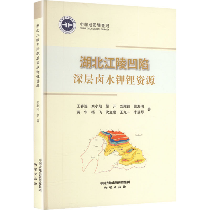 湖北江陵凹陷深层卤水钾锂资源 王春连 等 著 正版书籍 新华书店旗舰店文轩官网 地质出版社