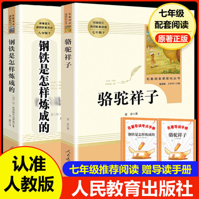 教版骆驼祥子和钢铁整本书阅读