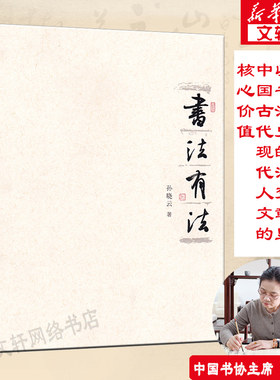 【官方正版】书法有法 孙晓云著 中国书协主席孙晓云书法理论作品 中国传世书法技法 书法名家名品经典书法文化大观分析与训练典籍
