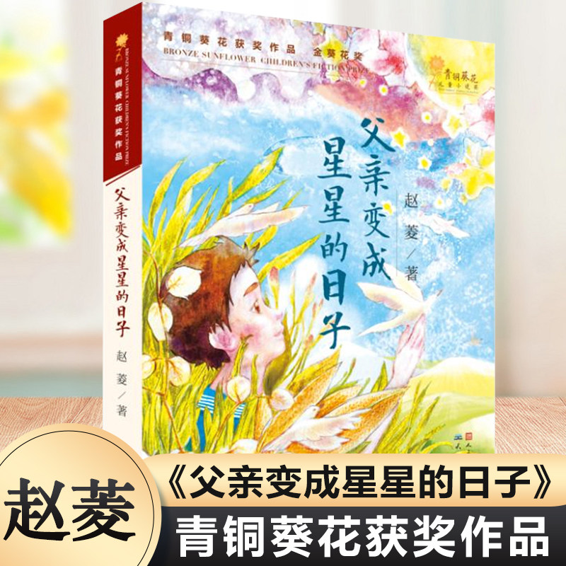 父亲变成星星的日子 青铜葵花奖 赵菱 天天出版社三四五六年级小学生课外阅读书7-9-10-12岁寒暑假期儿童文学推荐正版书籍