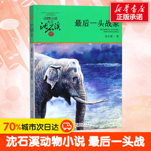 12岁中国儿童文学品藏书系儿童故事课外图书籍排行榜 书7 最后一头战象 动物小说大王沈石溪 新华书店正版