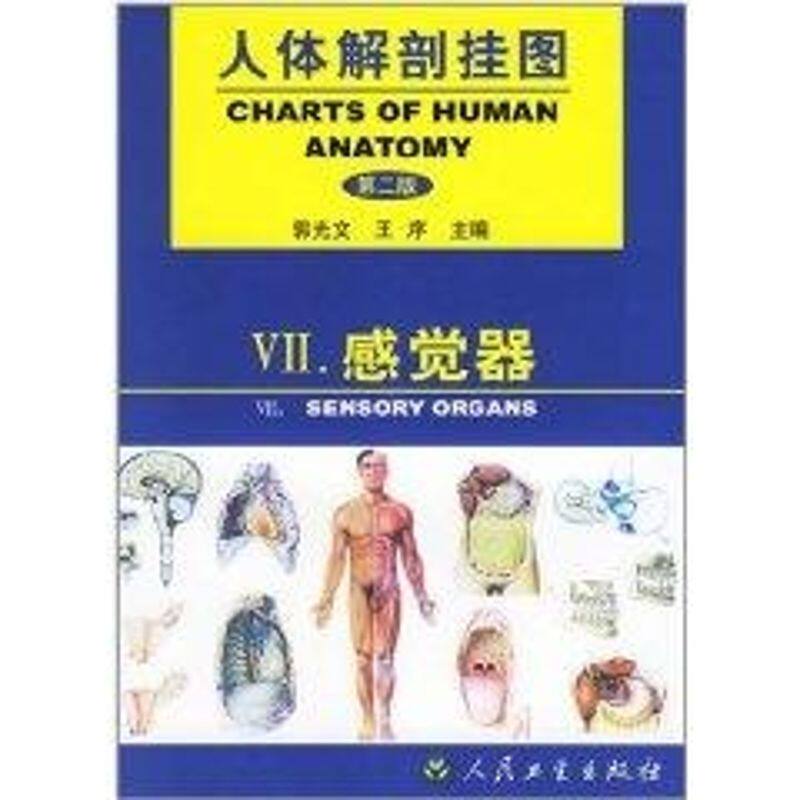 感觉器//人体解剖挂图(第2版) 郭光文,王序主编 正版书籍 新华书店旗舰店文轩官网 人民卫生出版社