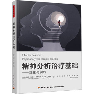 精神分析治疗基础——理论与实践 (挪威)西丽·埃丽卡·居勒斯塔,(挪威)比约恩·基林莫 中国轻工业出版社
