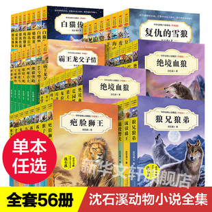 阅读书籍狼兄狼弟10 白猫传奇四五六年级小学生课外推荐 沈石溪动物小说全集系列全套56册狼王梦正版 15岁少儿童阅读物畅销书