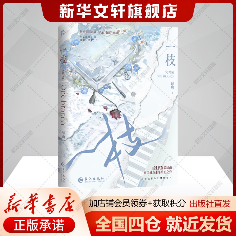 新华书店正版 青春小说 文轩网