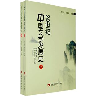 【新华文轩】20世纪中国文学发展史(上下) 苏光文，胡国强　主编 著 正版书籍小说畅销书 新华书店旗舰店文轩官网 西南大学出版社