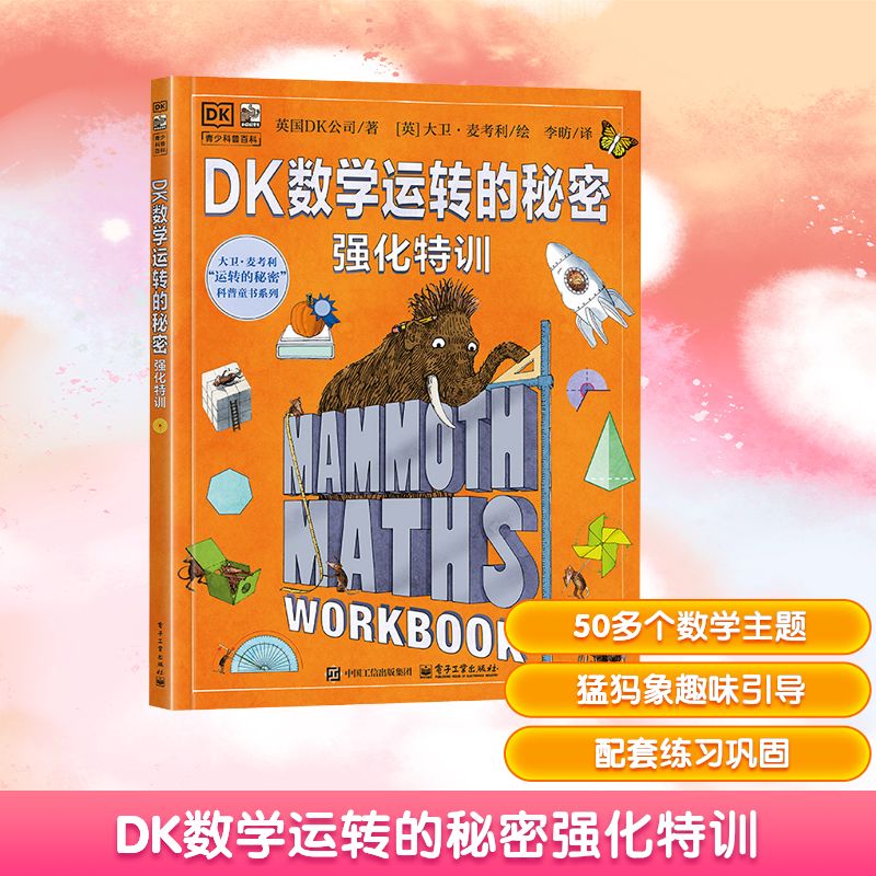 DK数学运转的秘密强化特训