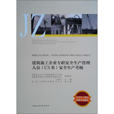 建筑施工企业专职安全生产管理人员(C3类)安全生产考核  室内设计书籍入门自学土木工程设计建筑材料鲁班书毕业作品设计bim书籍专