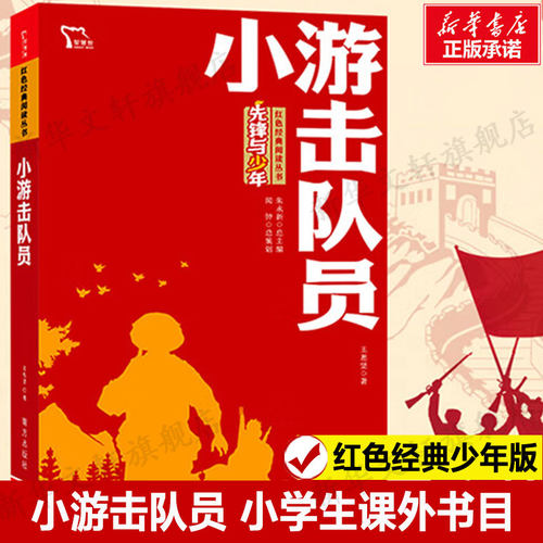 小游击队员王愿坚小学生