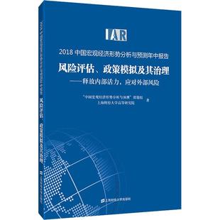 应对外部风险 政策模拟及其治理——释放内部活力 2018中国宏观经济形势分析与预测年中报告 风险评估