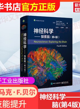 【官方正版】神经科学——探索脑(第4版)电子工业出版社(美)马克·F.贝尔(Mark F.Bear) 等 著 著 朱景宁,王建军 主译 译大学教材9