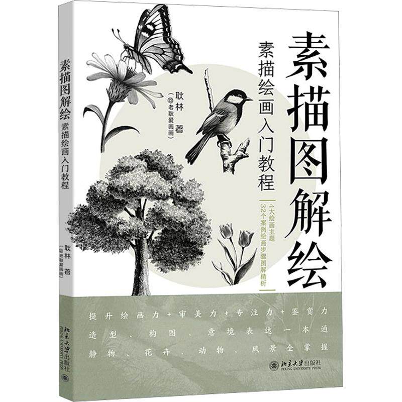 【新华文轩】素描图解绘:素描绘画入门教程 耿林 著 正版书籍 新华书店旗舰店文轩官网 北京大学出版社