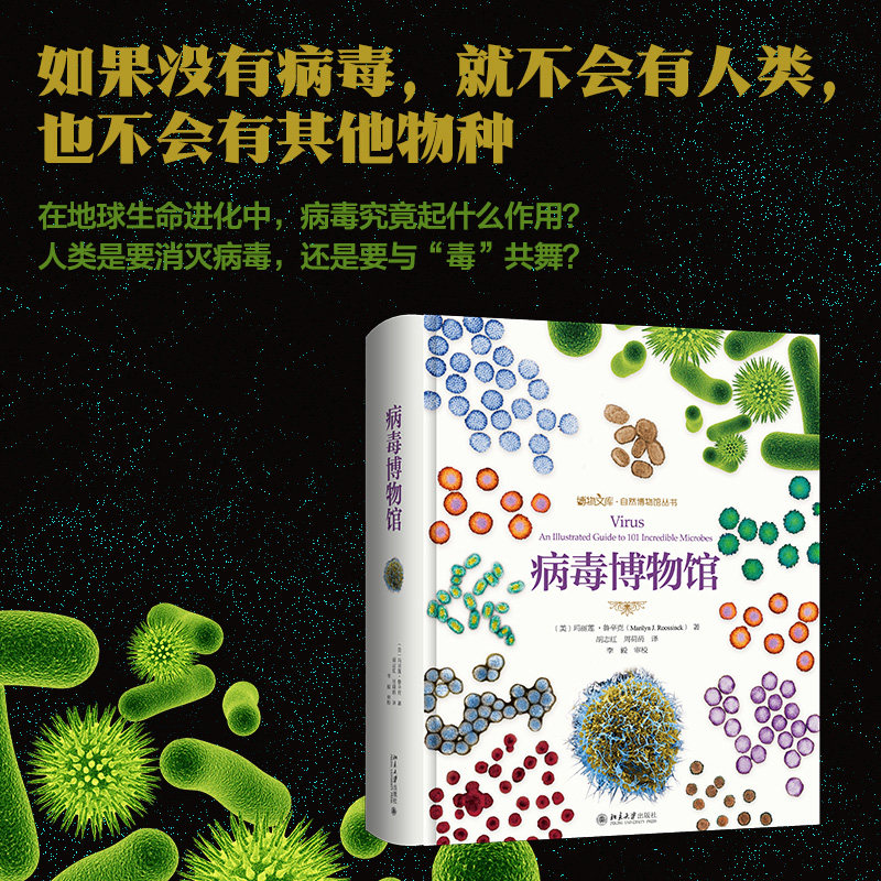 病毒博物馆 玛丽莲·鲁辛克 科普读物图鉴书籍生物世界生物学自然进化遗传科普百科自然科学生命科学书少儿青少年学生课外读物正版