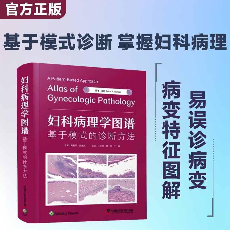 妇科病理学图谱:基于模式的诊断方法 (美)特丽夏·A.努曼(Tricia A.Numan) 原著 正版书籍 新华书店旗舰店文轩官网