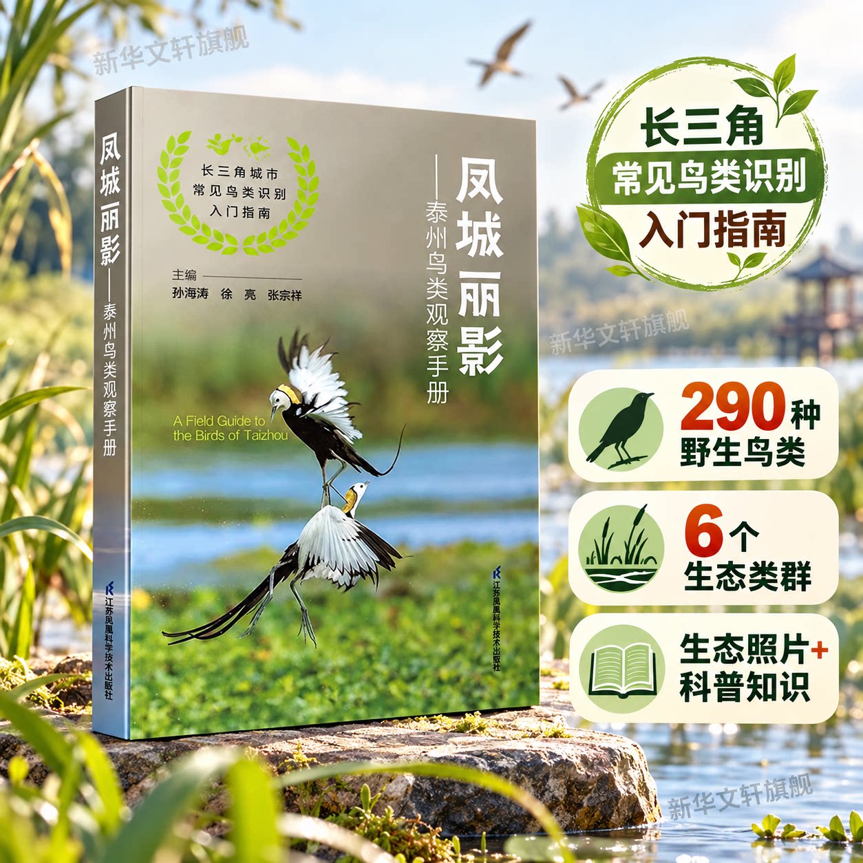 正版 凤城丽影 泰州鸟类观察收册 290种野生鸟类 长三角地区野外观鸟工具书 鸟类爱好者初学入门观察宝典 江苏凤凰科学技术出版社