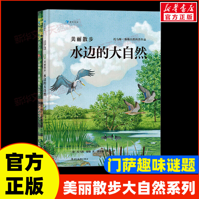美丽散步水边+林间的大自然