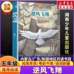 逆风飞翔 叶梦著五年级下册寒假阅读书目内蒙古阅美草原广东粤韵书香语润新疆推荐小学生课外阅读书籍必读湖南少年儿童出版社正版