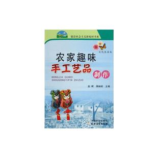 新华文轩 中国农业出版 新农村 社 赵晖.蒋林树 正版 著 新华书店旗舰店文轩官网 书籍 农家趣味手工艺品制作