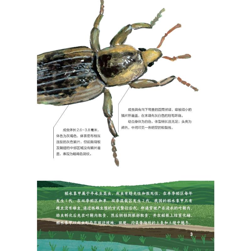 新华书店正版 少儿科普 文轩网