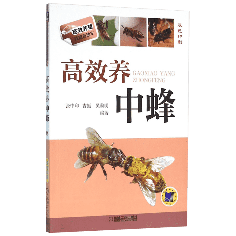 高效养中蜂蜜蜂养殖技术书籍养蜂书籍实用手册中华蜂土蜂中蜂饲养新技术书农业科学养殖技术养蜜蜂技术蜜蜂养殖大全书籍养蜂正版书