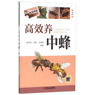 高效养中蜂蜜蜂养殖技术书籍养蜂书籍实用手册中华蜂土蜂中蜂饲养新技术书农业科学养殖技术养蜜蜂技术蜜蜂养殖大全书籍养蜂正版书