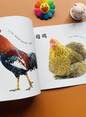 托班宝宝认物大全1-2-3岁婴儿书看图识物宝宝绘本早教认物认识水果蔬菜动物图卡片认知儿童实物图册小孩图片书幼儿看图识物图书