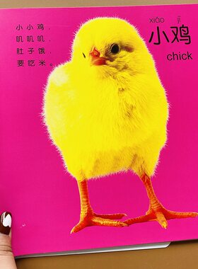 宝宝看图动物大全1-2-3岁幼儿认识动物卡片实拍图片动物认知书婴儿识别动物图片图卡彩图儿童看图认动物图大图小孩子早教认物书本