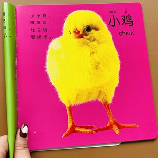 宝宝看图动物大全1-2-3岁幼儿认识动物卡片实拍图片动物认知书婴儿识别动物图片图卡彩图儿童看图认动物图大图小孩子早教认物书本