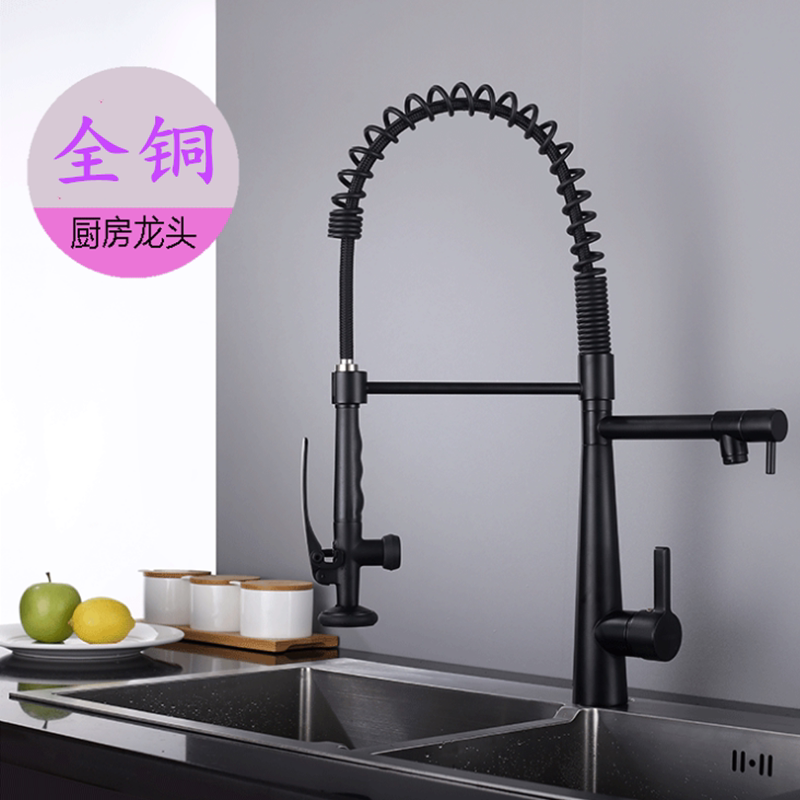 德国当代高端厨房抽拉龙头全铜岛台洗菜盆冷热龙头双出水水槽龙头
