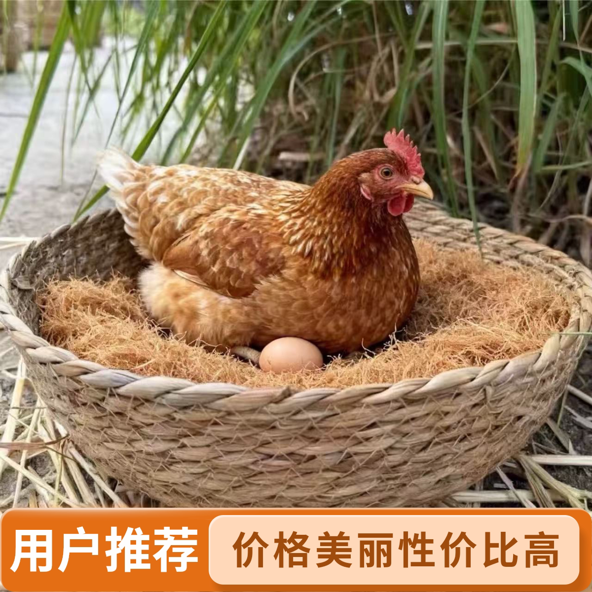 【无添加】手工草编草筐鸡窝下蛋窝母鸡产蛋窝猫窝狗窝休息宠物窝