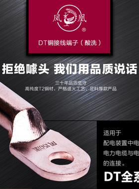 凤凰铜鼻子DT-10 16 25 35 50 70 95 120 150国标堵油式电缆接头