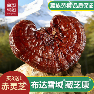 【高效搭配】西藏直发正品赤灵芝250g干货赤芝买3送1非灵芝孢子粉