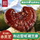 赤灵芝250g干货赤芝买3送1非灵芝孢子粉 西藏直发正品 高效搭配