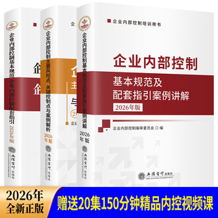 全3册2026年版企业内部控制基本规范及配套指引案例讲解+主要风险点关键控制点与案例解析+企业内部控制基本规范控制配套指引解读