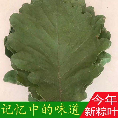 粽叶干粽子叶大号槲叶新鲜晾干包粽子胡叶玻璃叶桲椤叶菠萝叶批发