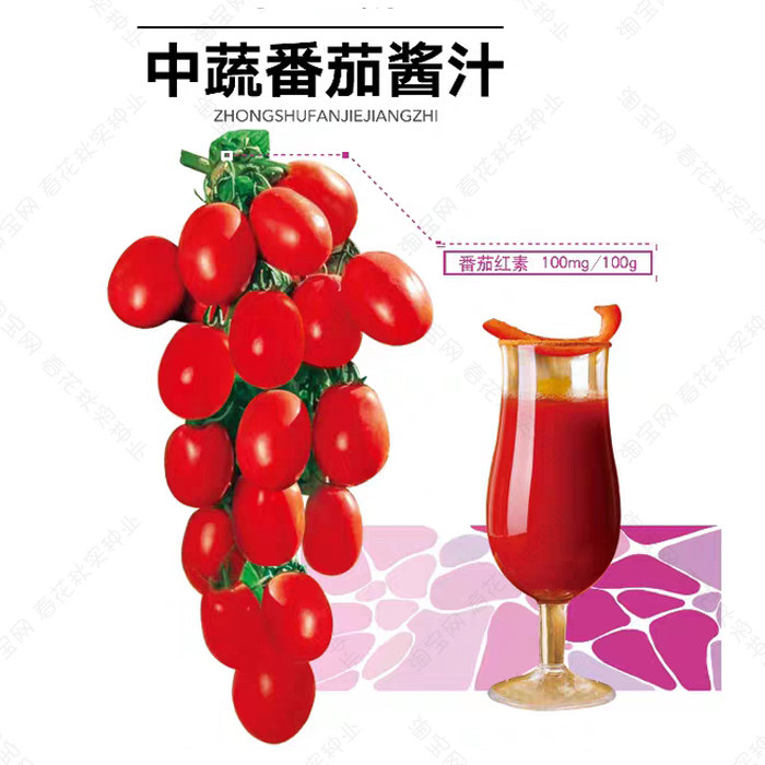 番茄酱汁番茄种子 春夏秋四季播蔬菜樱桃水果西红柿 盆栽阳台易种,鲜花速递/花卉仿真/绿植园艺,家庭园艺种子,淘宝优惠券,粉丝福利购,淘宝优惠卷