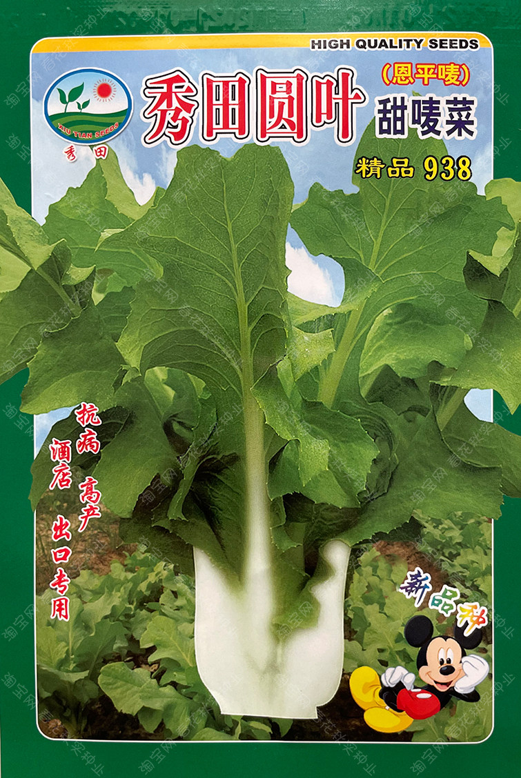 广东秀田圆叶甜唛菜种子 秋季播恩平唛蔬菜籽 阳台盆栽易种好吃孑