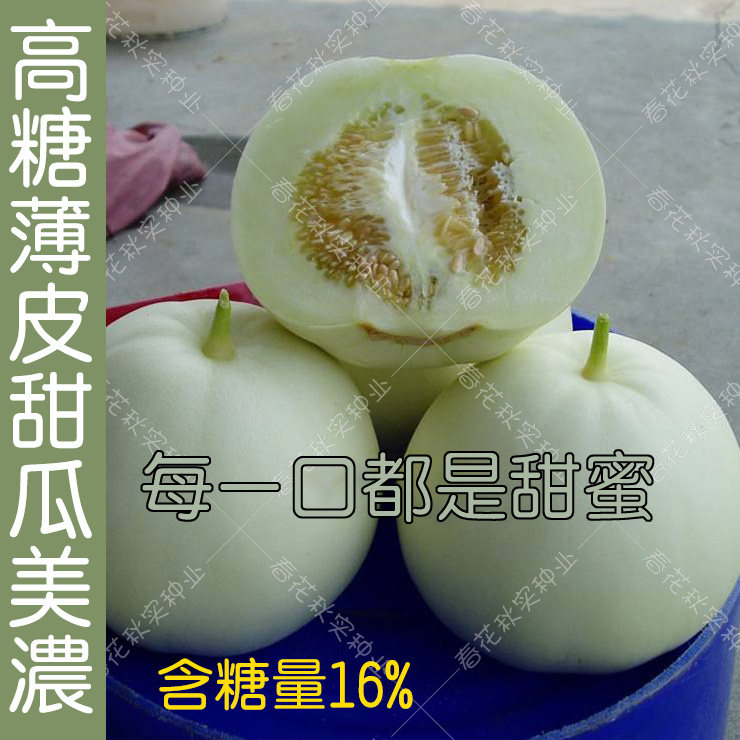 高糖薄皮甜瓜水果种子
