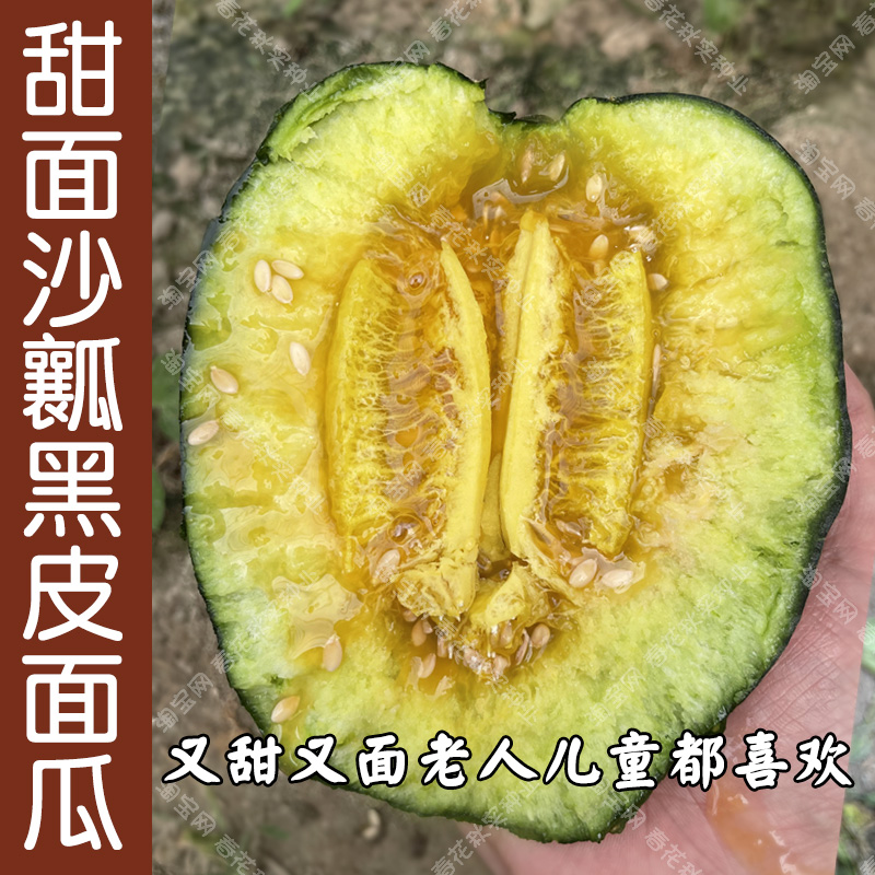 沙瓤香甜面瓜种子 春夏季播水果籽 干面香味浓口感好吃老少皆宜孑