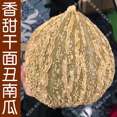 香甜抚顺棱纹花叶可食用南瓜种子