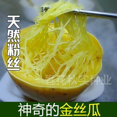 金丝搅瓜种子蔬菜籽口感好易种植