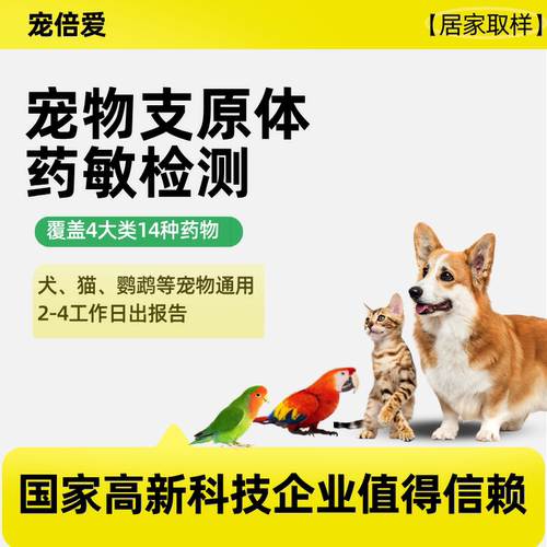 宠倍爱犬猫鹦鹉支原体药敏检测筛查兽用快速检测合理用药